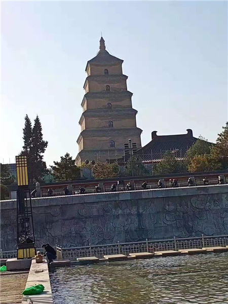 陜西景觀燈廠家 陜西景觀燈廠家